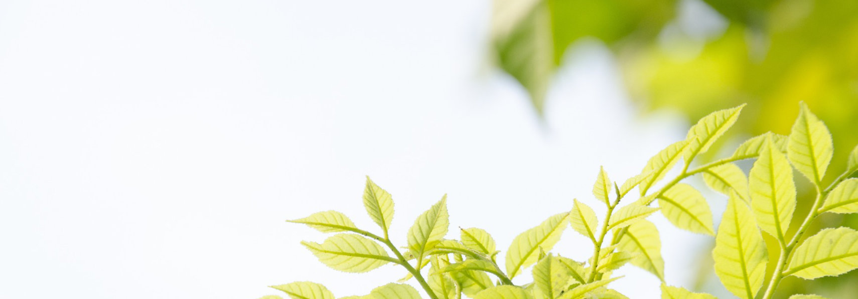 슬라이드 이미지1